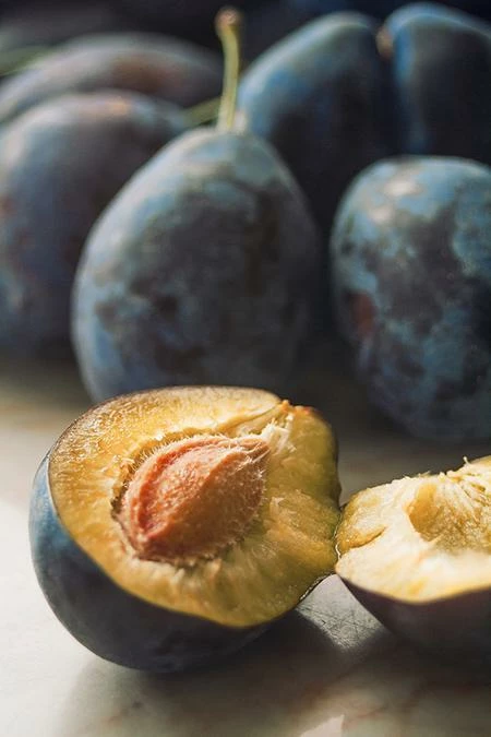 Fast Growing Trees French Prune Tree 5 Fast Growing Trees French Prune Tree