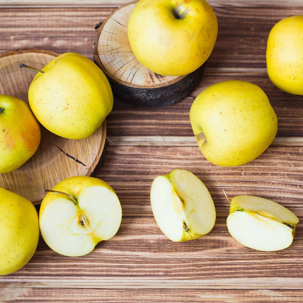 Fast Growing Trees Golden Sentinel Columnar Apple Tree Apple Trees 6 Fast Growing Trees Golden Sentinel Columnar Apple Tree Apple Trees