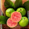 Fast Growing Trees Guava Tree 'Ruby Supreme' See All Fruit Trees