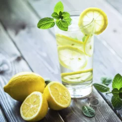 Fast Growing Trees Citrus Trees Genoa (Italian) Lemon Tree