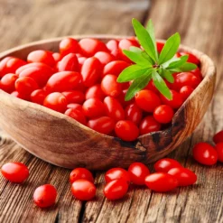 Fast Growing Trees Goji Berry - USDA Organic See All Fruit Trees