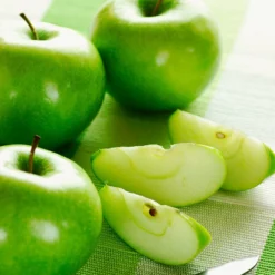 Fast Growing Trees Apple Trees Granny Smith Apple Tree