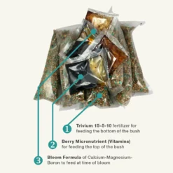 Fast Growing Trees Garden Supplies Berry Bush Care Kit