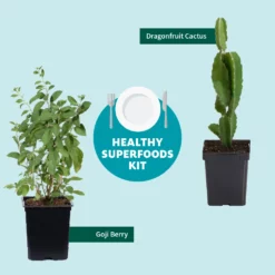 Fast Growing Trees Healthy Superfoods Kit