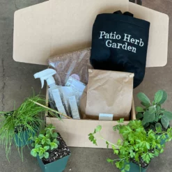 Fast Growing Trees Patio Herb Garden Urban/Patio Gardening 9 Fast Growing Trees Patio Herb Garden Urban/Patio Gardening