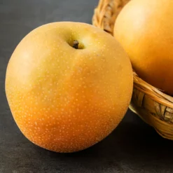 Fast Growing Trees Hosui Asian Pear Tree Pear Trees