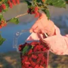 Fast Growing Trees See All Fruit Trees Illinois Everbearing Mulberry