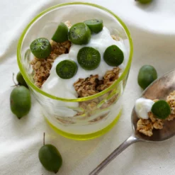 Fast Growing Trees ISSAI Hardy Kiwi