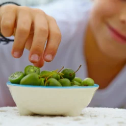 Fast Growing Trees ISSAI Hardy Kiwi