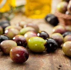 Fast Growing Trees Italian Olive Tree