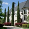 Fast Growing Trees See All Evergreen & Privacy Trees Italian Cypress