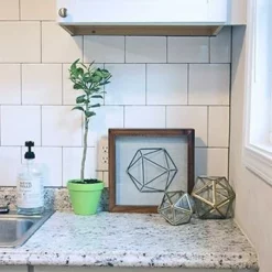 Fast Growing Trees Key Lime Gift Tree Citrus Trees