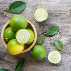 Fast Growing Trees Our Newest Arrivals Key Lime Bush