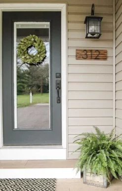 Fast Growing Trees Kimberly Queen Fern Our Newest Arrivals