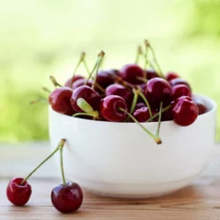 Fast Growing Trees Cherry Trees Lapins Cherry Tree