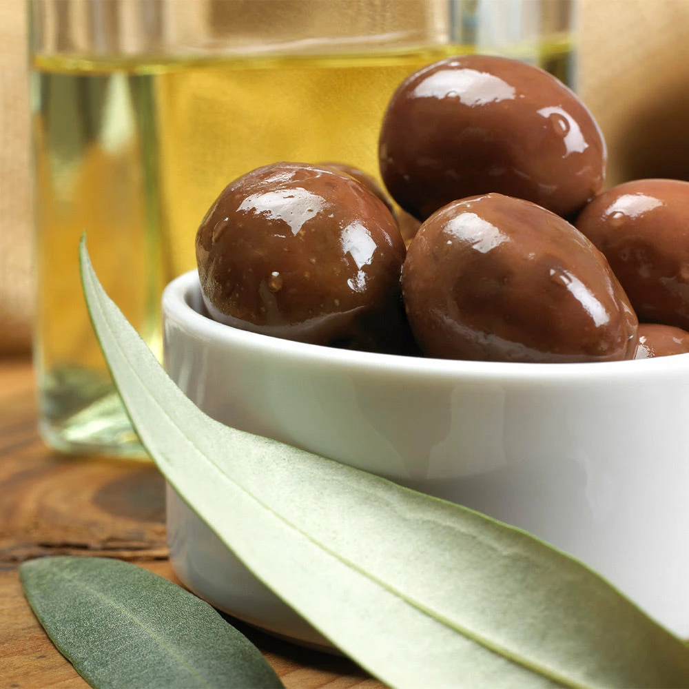 Fast Growing Trees Lecciana Olive Tree 7 Fast Growing Trees Lecciana Olive Tree