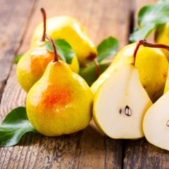 Fast Growing Trees Pear Trees Luscious Pear Tree