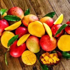 Fast Growing Trees Mango Kit