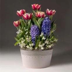 Fast Growing Trees Gift Plants Love Struck Bulb Garden