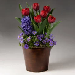 Fast Growing Trees Tabletop Bulb Gardens Red Royalty Bulb Garden