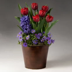 Fast Growing Trees Tabletop Bulb Gardens Red Royalty Bulb Garden