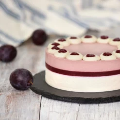 Fast Growing Trees Methley Plum Tree Plum Trees 13 Fast Growing Trees Methley Plum Tree Plum Trees