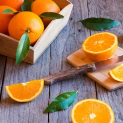 Fast Growing Trees Midknight Valencia Orange Citrus Trees