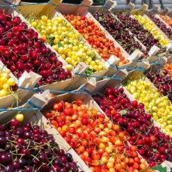 Fast Growing Trees 4-in-1 Cherry Tree Cherry Trees