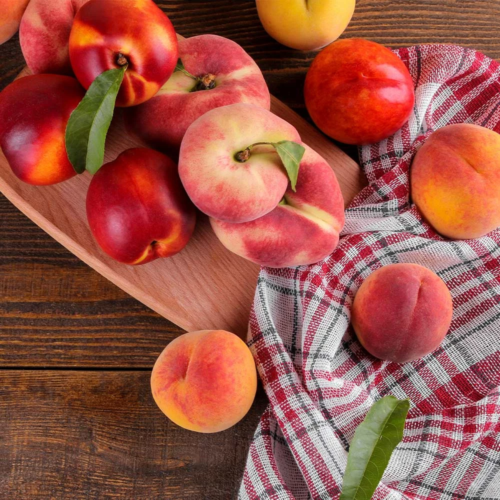 Fast Growing Trees Peach Trees 2-in-1 Peach Tree 4 Fast Growing Trees Peach Trees 2-in-1 Peach Tree