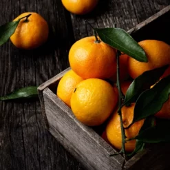 Fast Growing Trees Murcott Honey Mandarin Tree