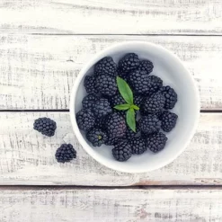 Fast Growing Trees Natchez Blackberry Groundcover & Vines