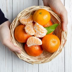 Fast Growing Trees Page Mandarin Tree