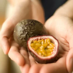 Fast Growing Trees Passion Fruit Vine (Flower)