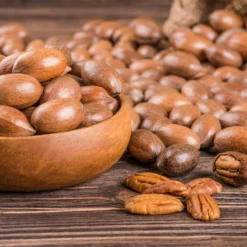 Fast Growing Trees Pawnee Pecan Tree Nut Trees 9 Fast Growing Trees Pawnee Pecan Tree Nut Trees