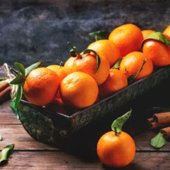 Fast Growing Trees Pixie Mandarin Tree Citrus Trees 9 Fast Growing Trees Pixie Mandarin Tree Citrus Trees