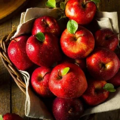 Fast Growing Trees Red Delicious Apple Tree Our Newest Arrivals