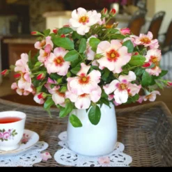 Fast Growing Trees Rose Trees Raspberry Kiss™ Rose Tree 9 Fast Growing Trees Rose Trees Raspberry Kiss™ Rose Tree