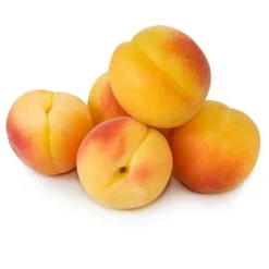 Fast Growing Trees See All Fruit Trees Late Ross Peach Tree