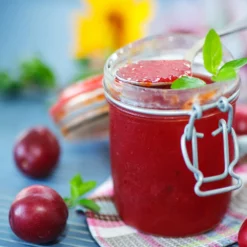 Fast Growing Trees Plum Trees Santa Rosa Plum Tree 13 Fast Growing Trees Plum Trees Santa Rosa Plum Tree