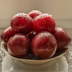 Fast Growing Trees Plum Trees Satsuma Plum Tree