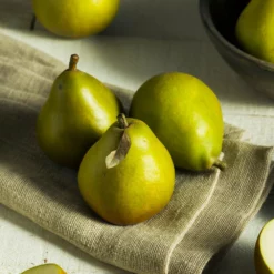 Fast Growing Trees Seckel Pear Tree Pear Trees