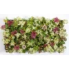 Fast Growing Trees See All Shrubs & Hedges Sedum Tile® - Color Splash
