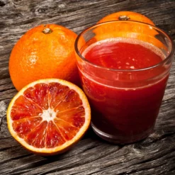 Fast Growing Trees Citrus Trees Smith Red Orange