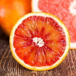 Fast Growing Trees Citrus Trees Smith Red Orange