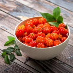 Fast Growing Trees Star Cherry Tree (Pitanga) Cherry Trees