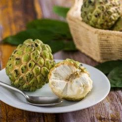 Fast Growing Trees See All Fruit Trees Sugar Apple Tree (Sweetsop Tree)