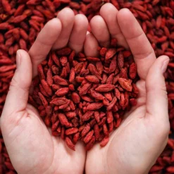 Fast Growing Trees Healthy Superfoods Kit