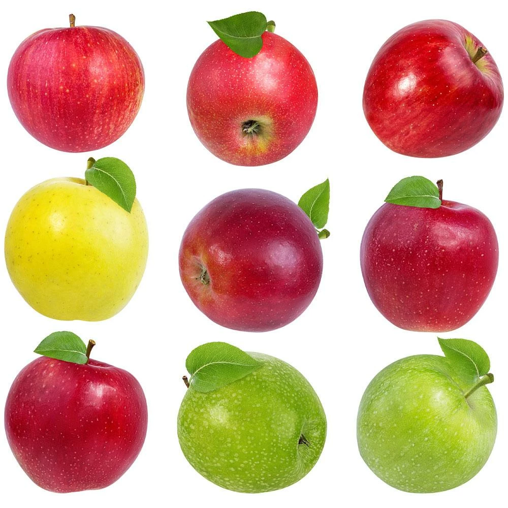 Fast Growing Trees 2-in-1 Apple Surprise Tree 4 Fast Growing Trees 2-in-1 Apple Surprise Tree