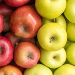 Fast Growing Trees 2-in-1 Apple Surprise Tree 8 Fast Growing Trees 2-in-1 Apple Surprise Tree