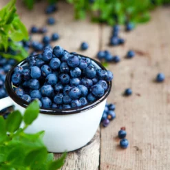 Fast Growing Trees Tifblue Blueberry - USDA Organic